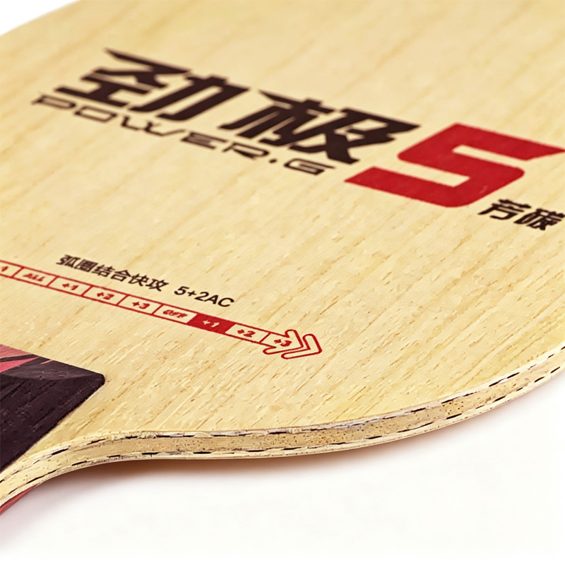 DHS POWER G5 PG5 Raqueta de Te - Table Tennis Eleven reseña y precio