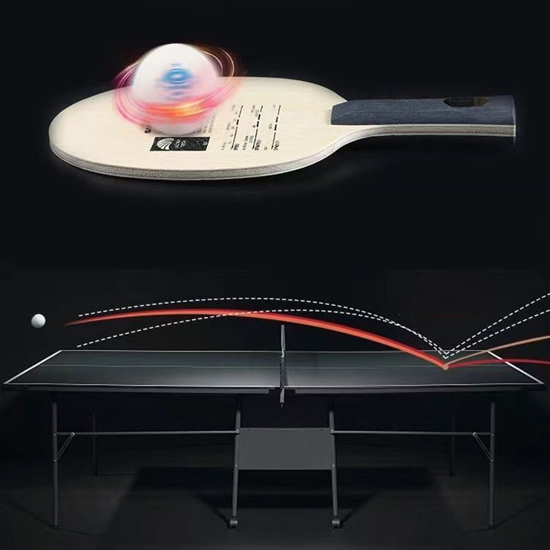 Hoja de tenis de mesa Sanwei T - Table Tennis Eleven reseña y precio